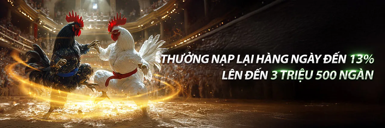 Banner quảng cáo khuyến mãi Nổ Hũ và đá gà trực tiếp C2